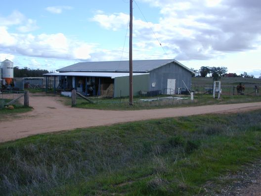 side view of the wool shed