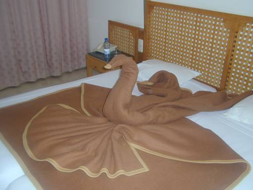 a swan from blankets, done by our room maid ...